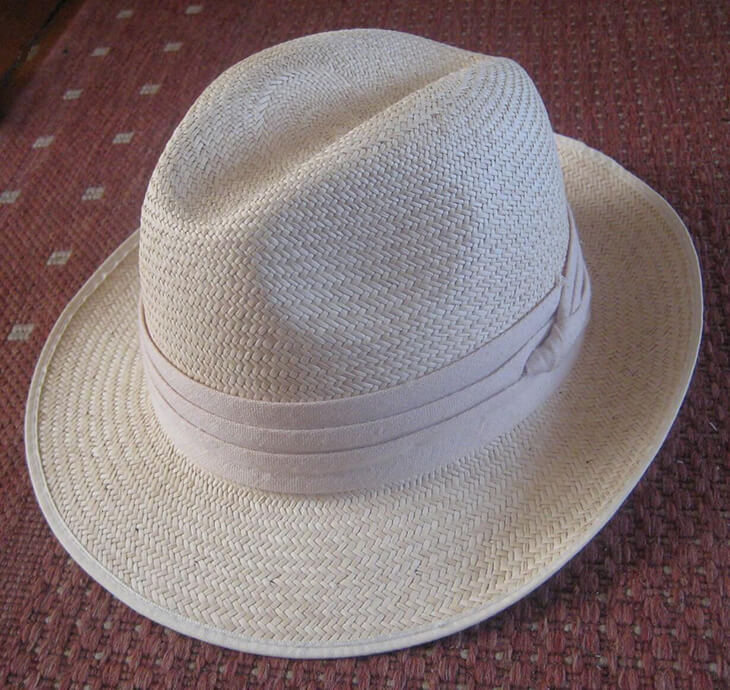 Mens Fashion Accessories: Panama Hat