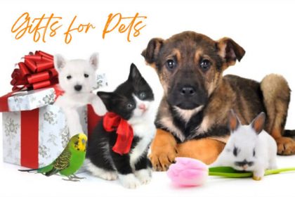 Gifts For Pet Lover