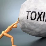 Everyday Toxins
