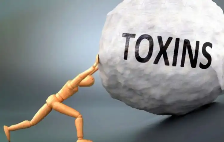 Everyday Toxins