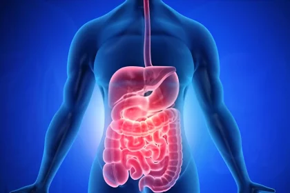 How to Improve Gut Health