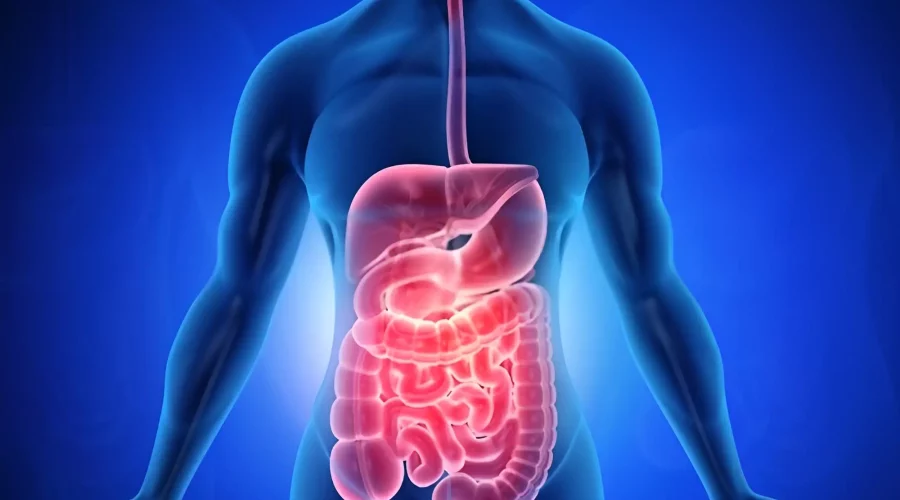 How to Improve Gut Health