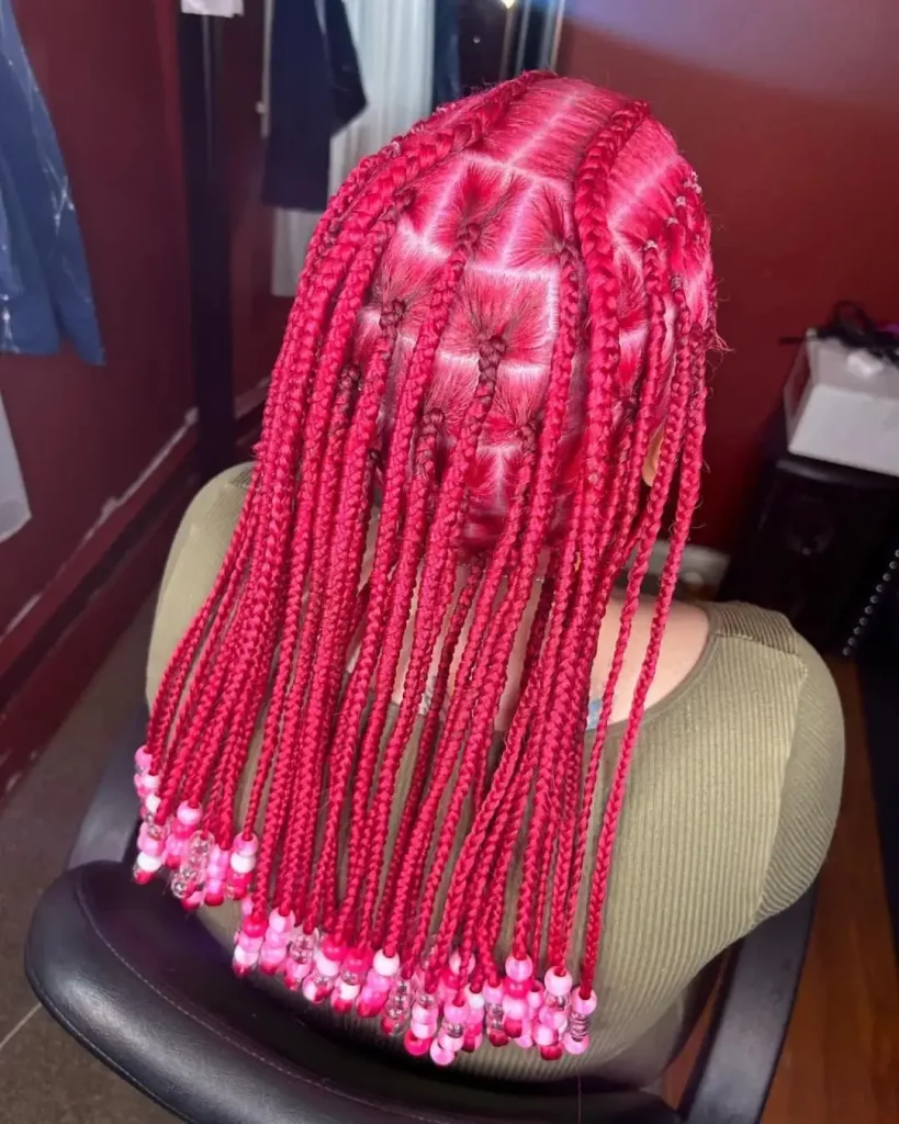 Fulani Pink Braids